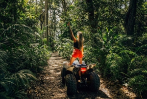 Południe Mauritiusa: Quad Bike Tour