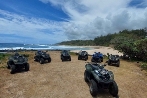 Południe Mauritiusa: Quad Bike Tour