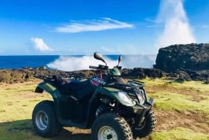 Południe Mauritiusa: Quad Bike Tour
