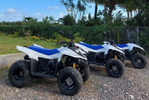 Południe Mauritiusa: Quad Bike Tour