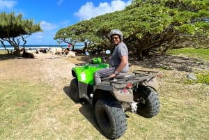 South Of Mauritius Quadbike and Snorkeling Blue Bay