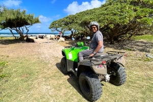 Sur de Mauricio Quadbike y snorkel Blue Bay