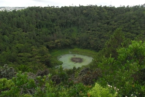 South West: Private Full Day Tour with Entry Tickets & Lunch