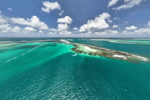 SouthEast Lagoon Discovery: on Power Catamaran(shared basis)