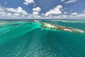 SouthEast Lagoon Discovery Shared Catamaran Tour & Snorkling