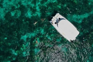 SouthEast Lagoon Discovery Shared Catamaran Tour & Snorkling