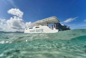 SouthEast Lagoon Discovery Shared Catamaran Tour & Snorkling