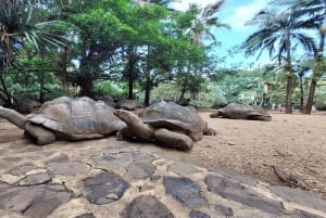 Southern Mauritius Private Tour inc Valles Des Couleur