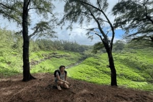 Tour privato del sud di Mauritius con Valles Des Couleur