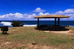 Tour privato del sud di Mauritius con Valles Des Couleur