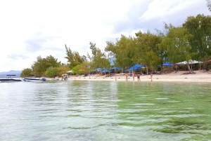 Speed boat to Ile aux Benitier: Dolphin Encounter & Lunch