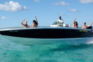 Schnellboot zur Ile aux Benitier: Delfin-Begegnung & Mittagessen