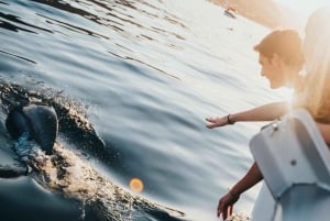 Schnellboot zur Ile aux Benitier: Delfin-Begegnung & Mittagessen