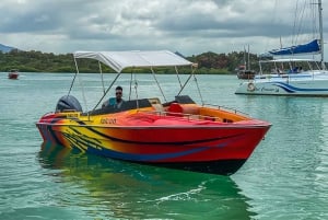 Pikavene Ile aux Cerfsille: Lounas ja kuljetus: Koko päivä, sis.