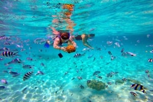 Speedboot naar Ile Aux Cerfs met 2 watersportactiviteiten