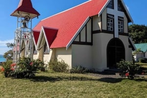 Excursão de barco rápido: Ilha aux Bénitier/Golfinhos/Rocha Crystal