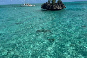 Excursão de barco rápido: Ilha aux Bénitier/Golfinhos/Rocha Crystal