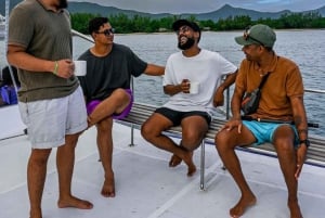 Excursão de barco rápido: Ilha aux Bénitier/Golfinhos/Rocha Crystal