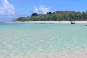 Speedboat excursion: Ile aux Bénitier/Dauphins/ Roche Crystal