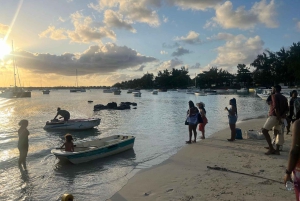Speedboat excursion: Ile aux Bénitier/Dauphins/ Roche Crystal