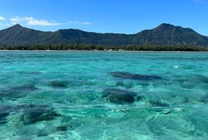 Speedboat excursion: Ile aux Bénitier/Dauphins/ Roche Crystal