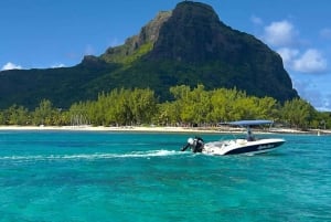 Alba, avvistamento dei delfini, nuoto, snorkeling e Crystal Rock