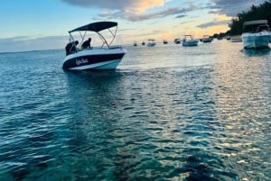 Alba, avvistamento dei delfini, nuoto, snorkeling e Crystal Rock