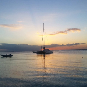 Sunset & Dinner Catamaran Cruise to Ile aux Aigrettes by Island Hopper