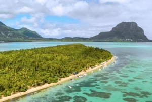 Tamarin: Delfiner, Crystal Rock, Benitiers Island, lunsj