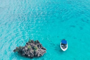 Tamarin: Delfiner, Crystal Rock, Benitiers Island, lunsj