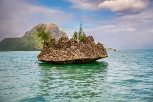 Tamarin: Delfiner, Crystal Rock, Benitiers Island, lunsj