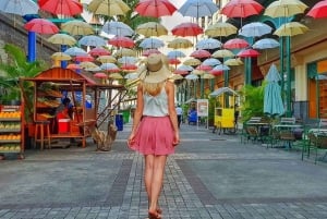 Tales of the North with Chateau de Labourdonnais and Lunch