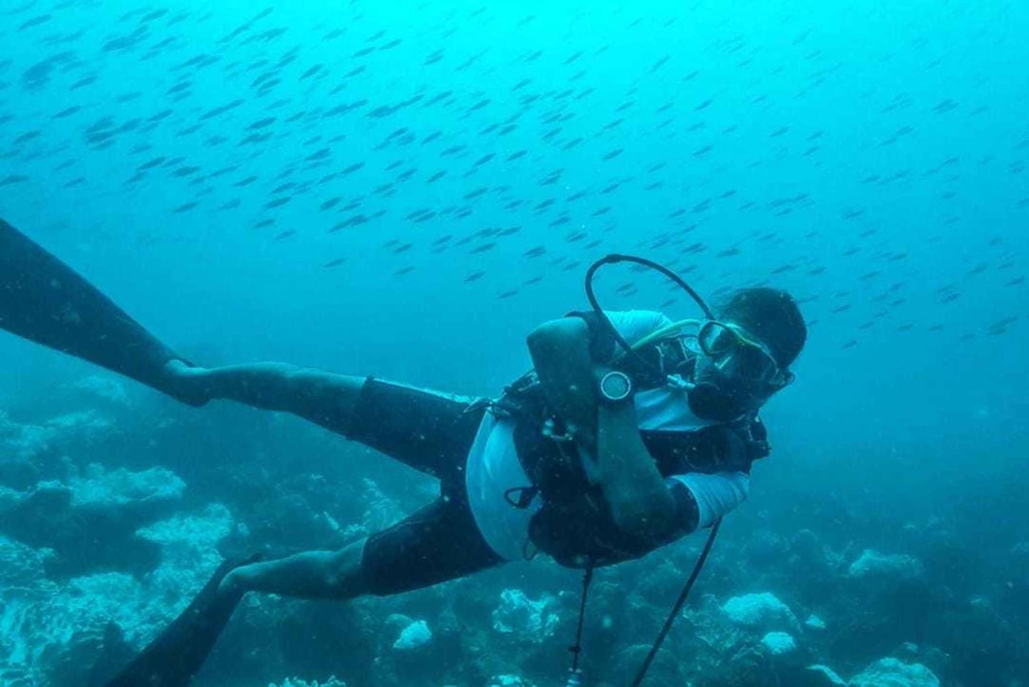 タマリン湾：初心者向けスキューバダイビング体験