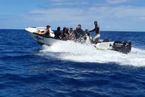 タマリン湾：初心者向けスキューバダイビング体験