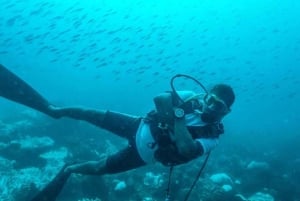 タマリン湾：初心者向けスキューバダイビング体験