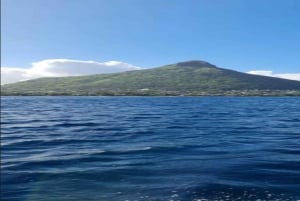 Tamarin: Snorkling med delfiner, Crystal Rock, Ile aux Benitiers, frokost