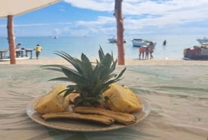 Tamarin: Snorkling med delfiner, Crystal Rock, Ile aux Benitiers, frokost