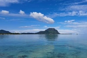 Tamarin: Snorkling med delfiner, Crystal Rock, Ile aux Benitiers, frokost