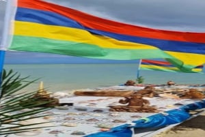 Tamarin: Snorkling med delfiner, Crystal Rock, Ile aux Benitiers, frokost