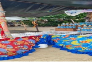 Tamarin: Snorkling med delfiner, Crystal Rock, Ile aux Benitiers, frokost