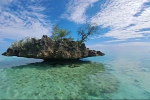 Tamarin: Snorkling med delfiner, Crystal Rock, Ile aux Benitiers, frokost