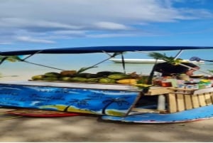 Tamarin: Snorkling med delfiner, Crystal Rock, Ile aux Benitiers, frokost