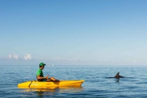 Tamarin: Guided Kayak Tour with Dolphins