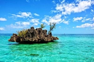 Tamarin: snorkeling con i delfini, Crystal Rock, Ile aux Benitiers, pranzo