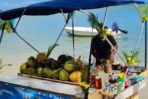 Tamarin: snorkeling con i delfini, Crystal Rock, Ile aux Benitiers, pranzo