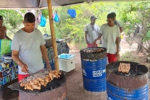 Tamarin: snorkeling con i delfini, Crystal Rock, Ile aux Benitiers, pranzo