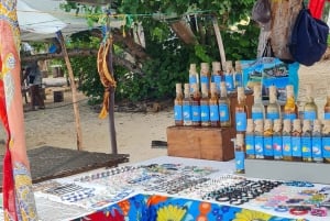 Tamarin: snorkeling con i delfini, Crystal Rock, Ile aux Benitiers, pranzo