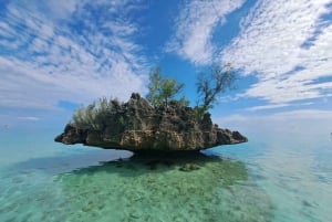 Tamarin: snorkeling con i delfini, Crystal Rock, Ile aux Benitiers, pranzo