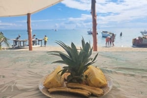 Tamarin: snorkeling con i delfini, Crystal Rock, Ile aux Benitiers, pranzo