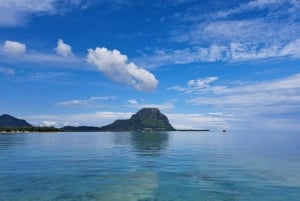 Tamarin: snorkeling con i delfini, Crystal Rock, Ile aux Benitiers, pranzo